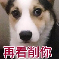 王大拿225