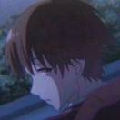 介是兽兽