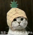 憨憨鸭QAQ