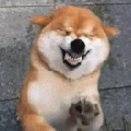 提瓦特祥子