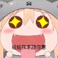 小猫QUQ
