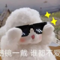 天真无邪的滑鸡QAQ