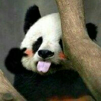阿帕喵
