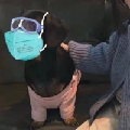 孙蹦蹦ss