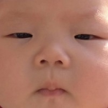 JForce趸趸