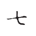 Qzx丶十三