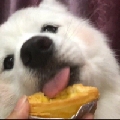 SuperG0D