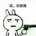 发抛的略略略