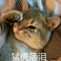 法外狂徒西瓜皮