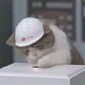 阿牧木Amu