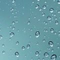 我在直播间最帅