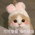欧椰OvO