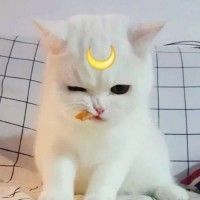 夜兮OvO