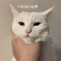 嘉文菜逼