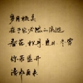 岁月神偷亦或ll