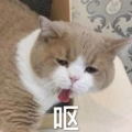 流落离散