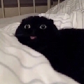 阿咩梨