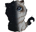 流星丨空白cat