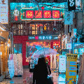 丶多弗朗明哥灬