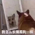改名转运OvO