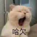 落情無殤