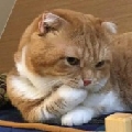 铅笔帝丶