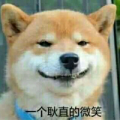 狙击手幽灵战士SNR