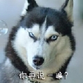 Im格雷啊