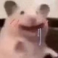 你的吱