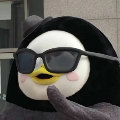 淄博王某人