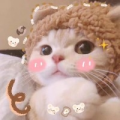 国服第一魔法少女棋手