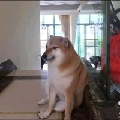 用户8108788146