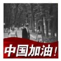 13620369239我