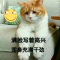 我是橘猫领主