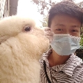 逍遙锅锅