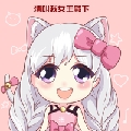 猫怼怼最美