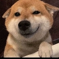 卓越en
