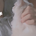 好的主人丶