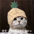 takosama0v0