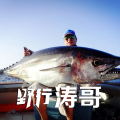 野行涛哥V