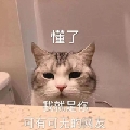 诶萌