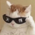 陳北cc