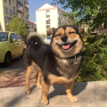 非非非非非非常流啤
