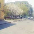 wangxi123abc