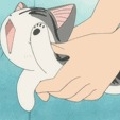 是猫久啊