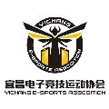 宜昌电子竞技运动协会
