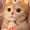 可爱的七宝宝