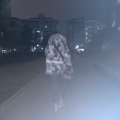 一匹胡三叔