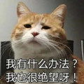 嘿呀我好气呀