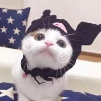 肥雀雀想吃饭